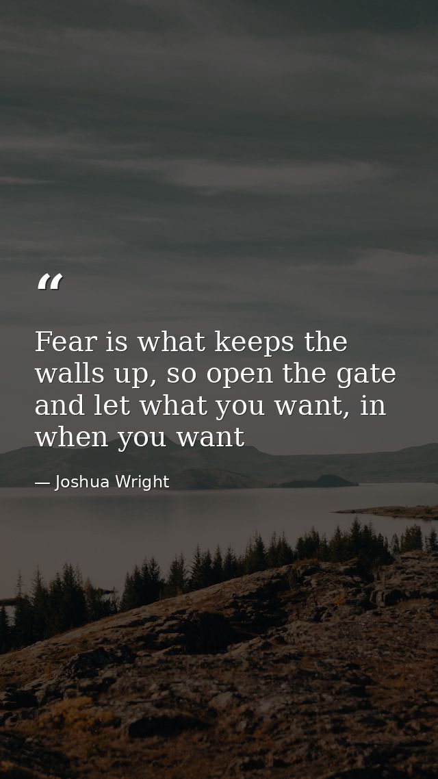 Fear is what keeps the walls up, so open the gate and let what you want, in when you want — Joshua Wright