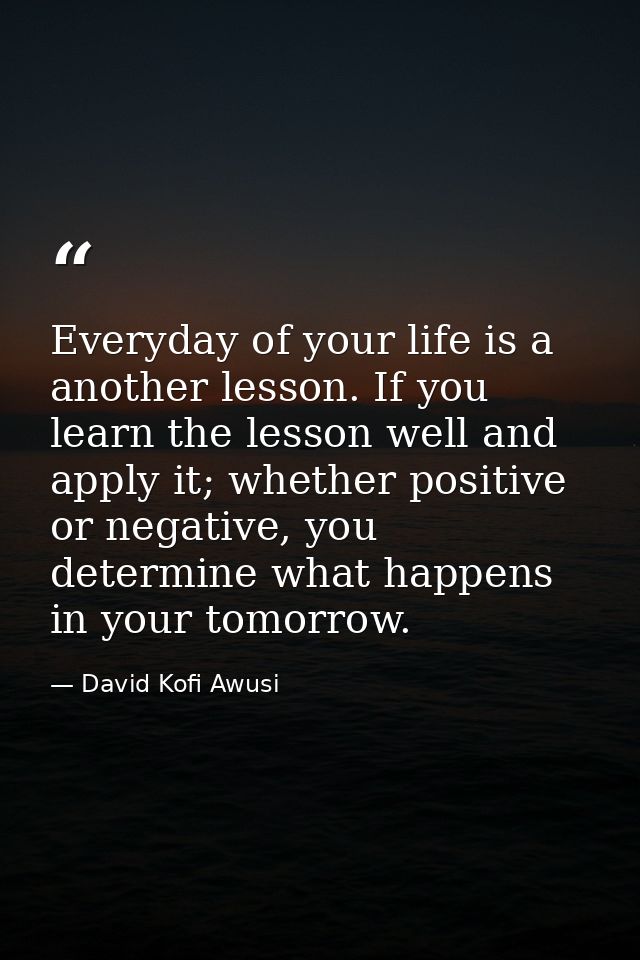 Everyday of your life is a another lesson. If you learn the lesson well and apply it; whether positive or negative, you  — David Kofi Awusi