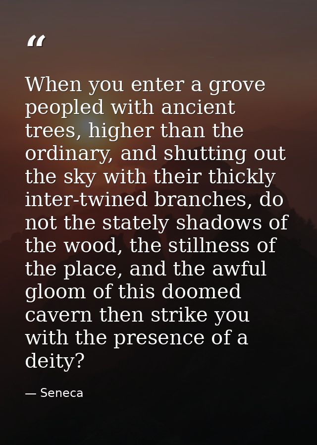 When you enter a grove peopled with ancient trees, higher than the ordinary, and shutting out the sky with their thickly — Seneca
