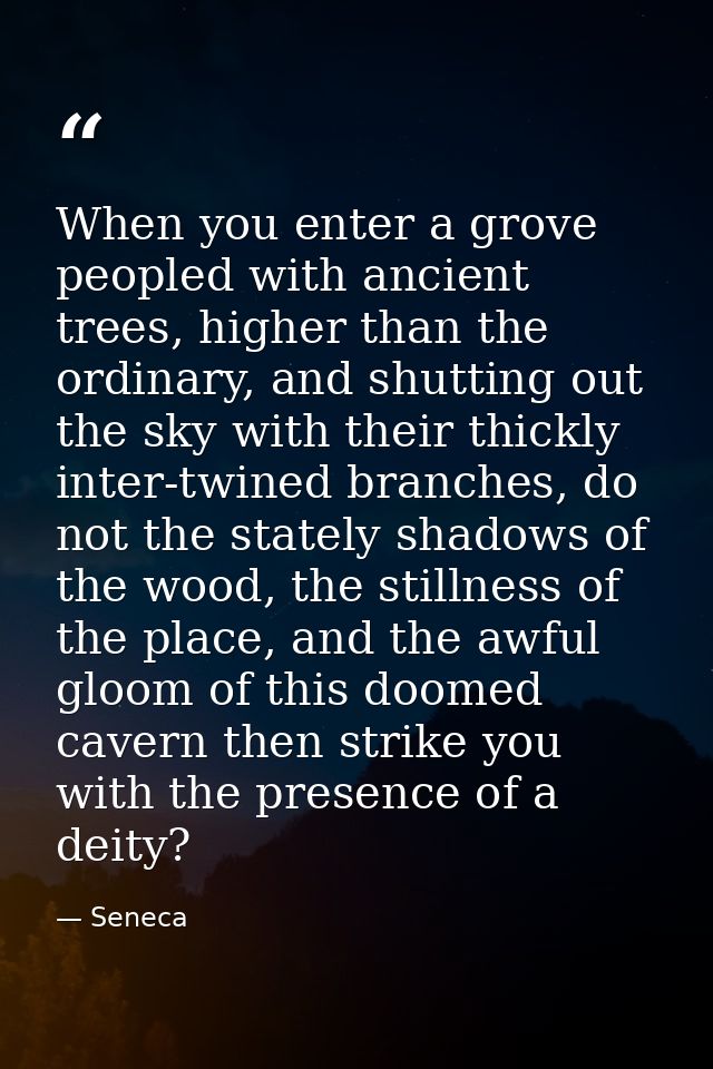 When you enter a grove peopled with ancient trees, higher than the ordinary, and shutting out the sky with their thickly — Seneca