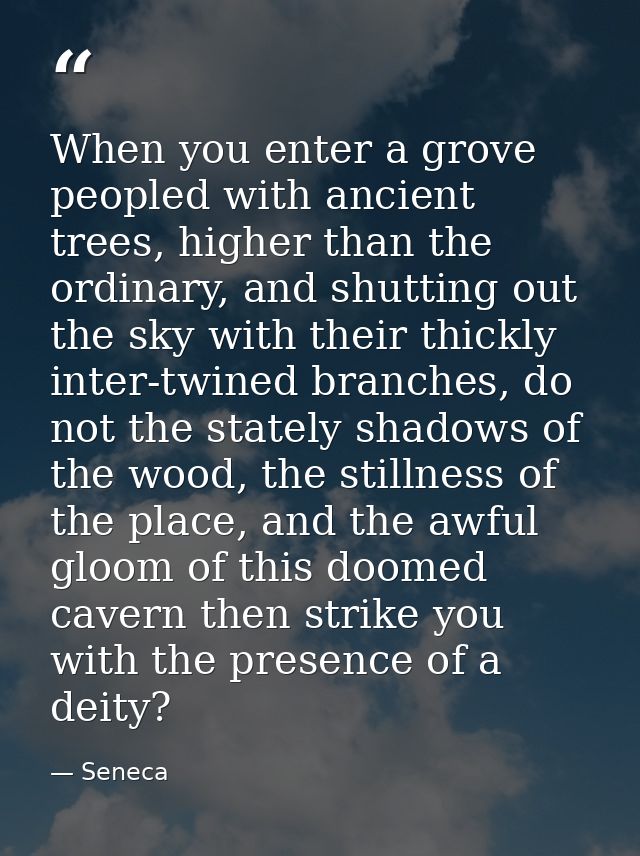 When you enter a grove peopled with ancient trees, higher than the ordinary, and shutting out the sky with their thickly — Seneca