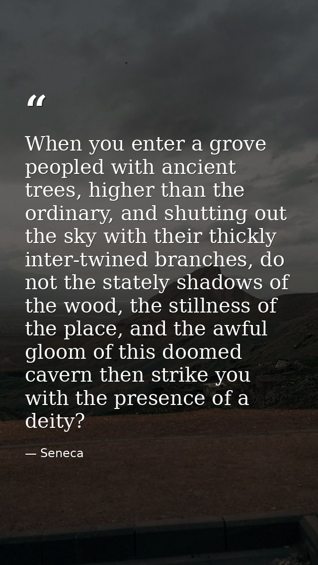 When you enter a grove peopled with ancient trees, higher than the ordinary, and shutting out the sky with their thickly — Seneca