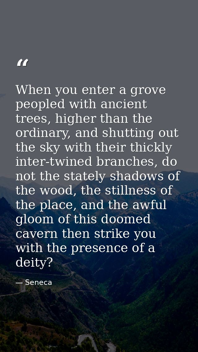 When you enter a grove peopled with ancient trees, higher than the ordinary, and shutting out the sky with their thickly — Seneca
