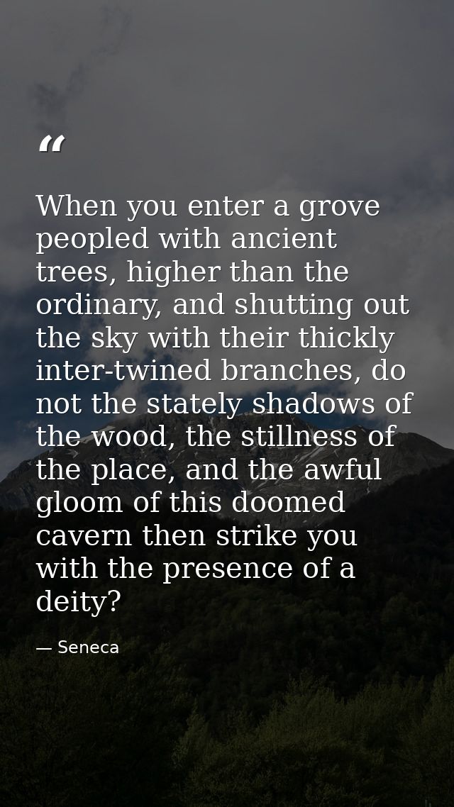 When you enter a grove peopled with ancient trees, higher than the ordinary, and shutting out the sky with their thickly — Seneca