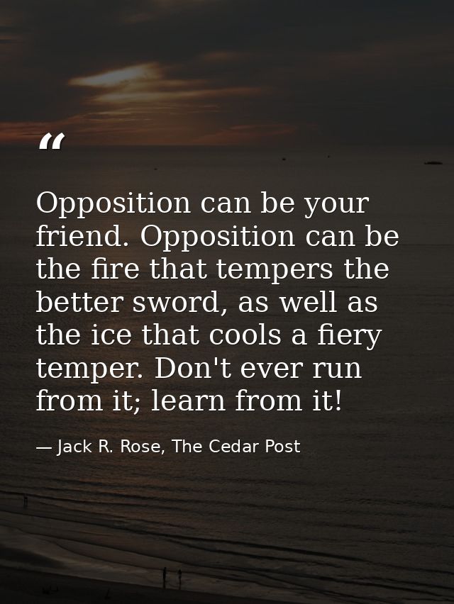 Opposition can be your friend. Opposition can be the fire that tempers the better sword, as well as the ice that cools a — Jack R. Rose, The Cedar Post