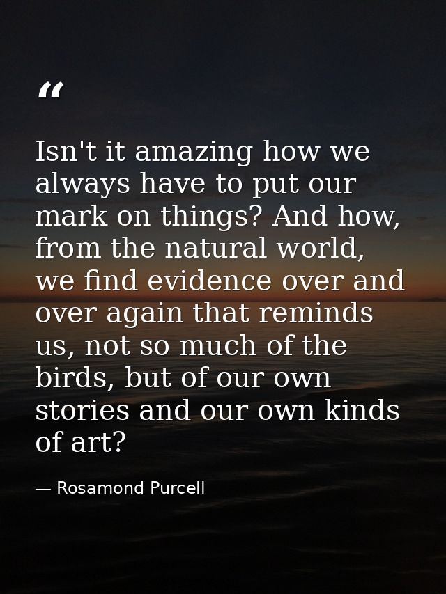 Isn't it amazing how we always have to put our mark on things? And how, from the natural world, we find evidence over an — Rosamond Purcell