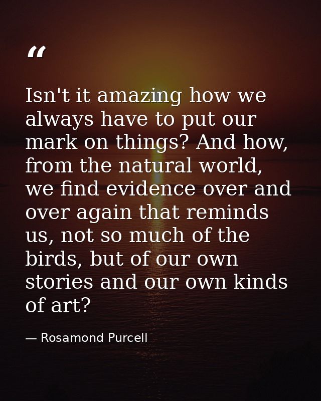 Isn't it amazing how we always have to put our mark on things? And how, from the natural world, we find evidence over an — Rosamond Purcell