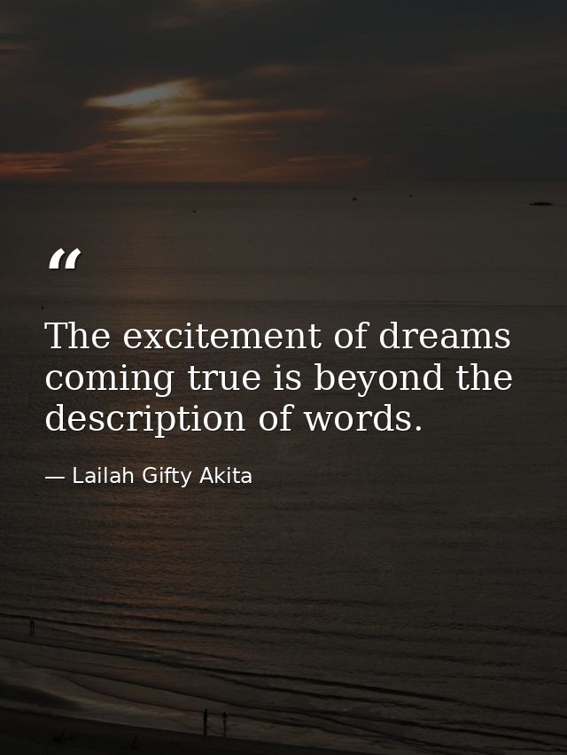 The excitement of dreams coming true is beyond the description of words. — Lailah Gifty Akita