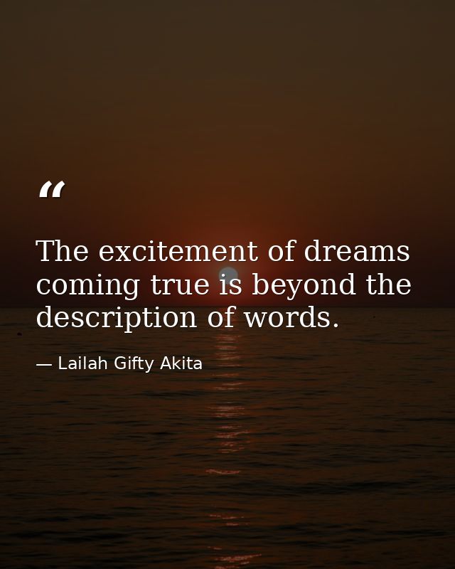 The excitement of dreams coming true is beyond the description of words. — Lailah Gifty Akita