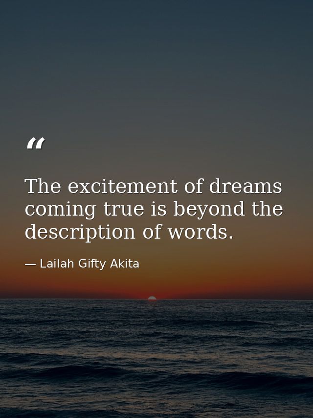 The excitement of dreams coming true is beyond the description of words. — Lailah Gifty Akita