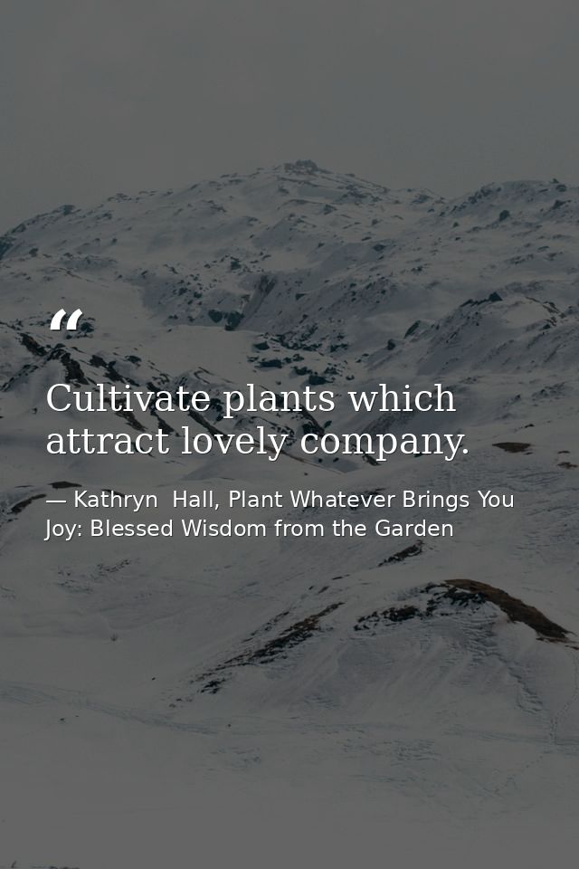 Cultivate plants which attract lovely company. — Kathryn  Hall, Plant Whatever Brings You Joy: Blessed Wisdom from the Garden