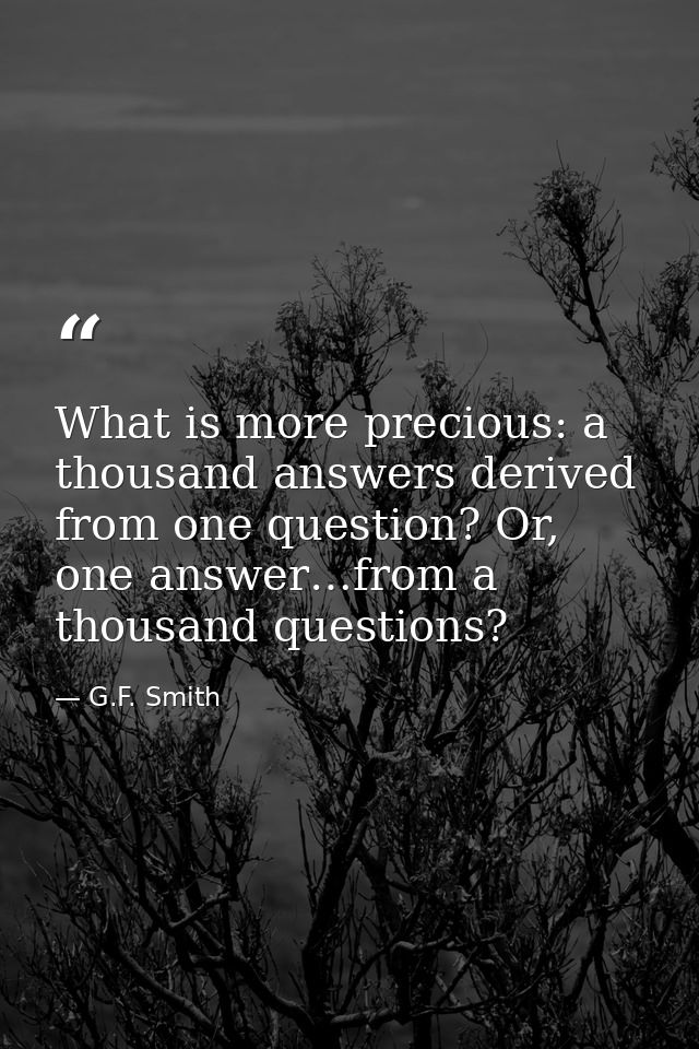 What is more precious: a thousand answers derived from one question? Or, one answer…from a thousand questions? — G.F. Smith