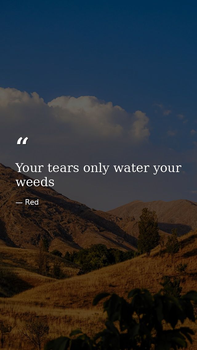Your tears only water your weeds — Red