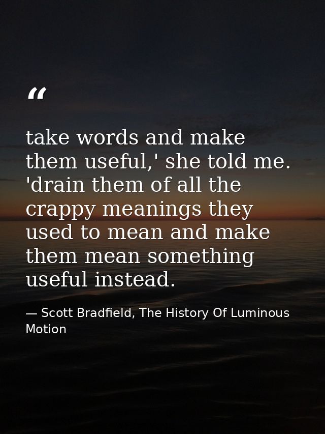 take words and make them useful,' she told me. 'drain them of all the crappy meanings they used to mean and make them me — Scott Bradfield, The History Of Luminous Motion