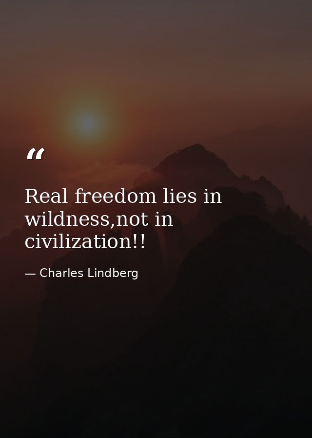 Real freedom lies in wildness,not in civilization!! — Charles Lindberg