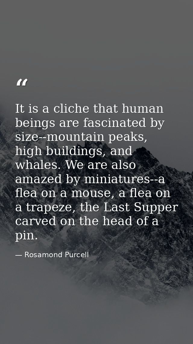 It is a cliche that human beings are fascinated by size--mountain peaks, high buildings, and whales. We are also amazed  — Rosamond Purcell