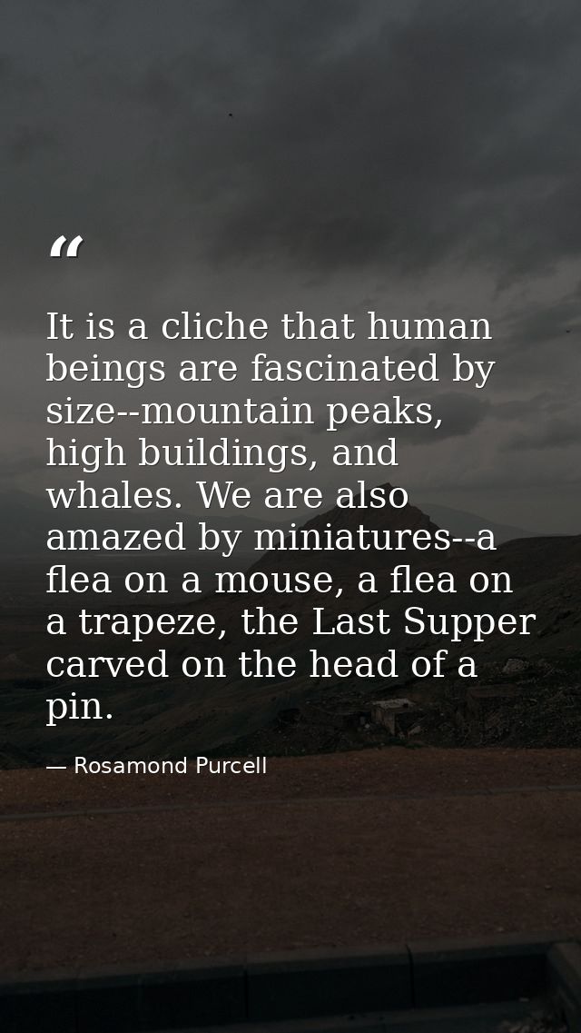 It is a cliche that human beings are fascinated by size--mountain peaks, high buildings, and whales. We are also amazed  — Rosamond Purcell