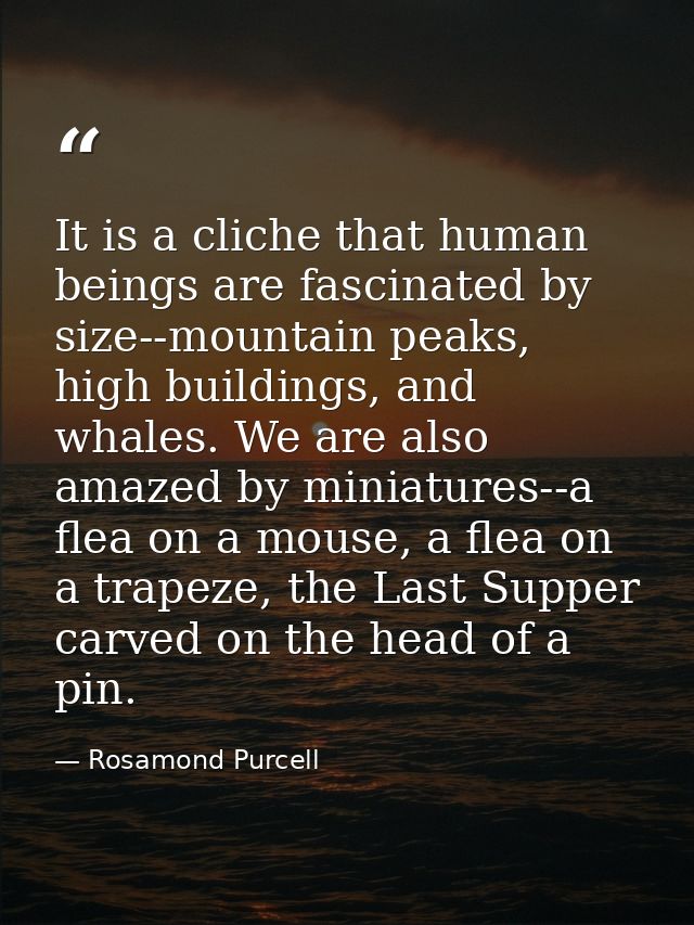 It is a cliche that human beings are fascinated by size--mountain peaks, high buildings, and whales. We are also amazed  — Rosamond Purcell