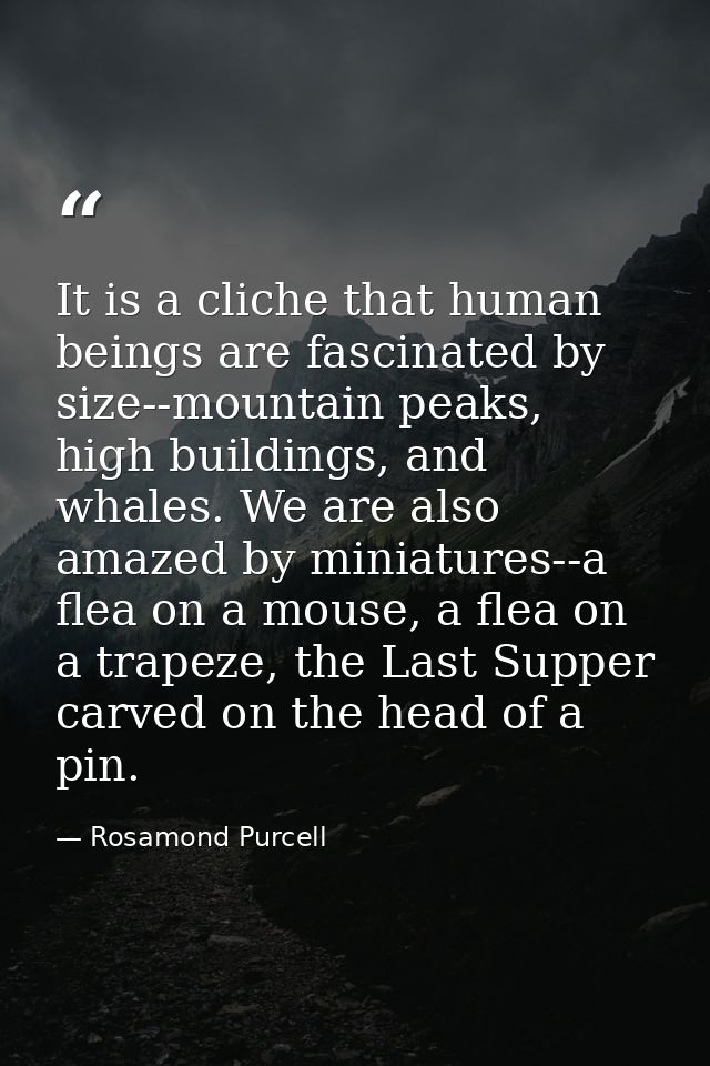 It is a cliche that human beings are fascinated by size--mountain peaks, high buildings, and whales. We are also amazed  — Rosamond Purcell