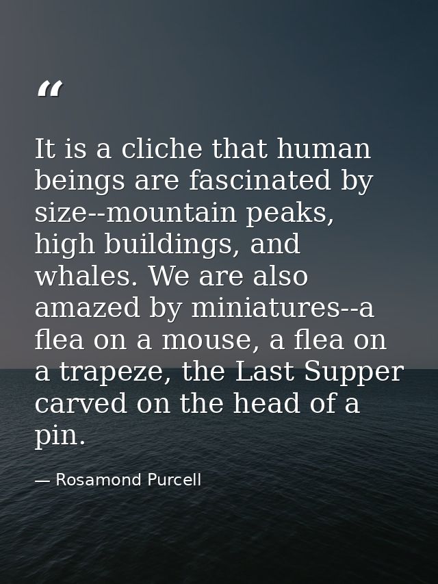 It is a cliche that human beings are fascinated by size--mountain peaks, high buildings, and whales. We are also amazed  — Rosamond Purcell
