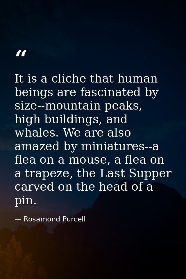 It is a cliche that human beings are fascinated by size--mountain peaks, high buildings, and whales. We are also amazed  — Rosamond Purcell