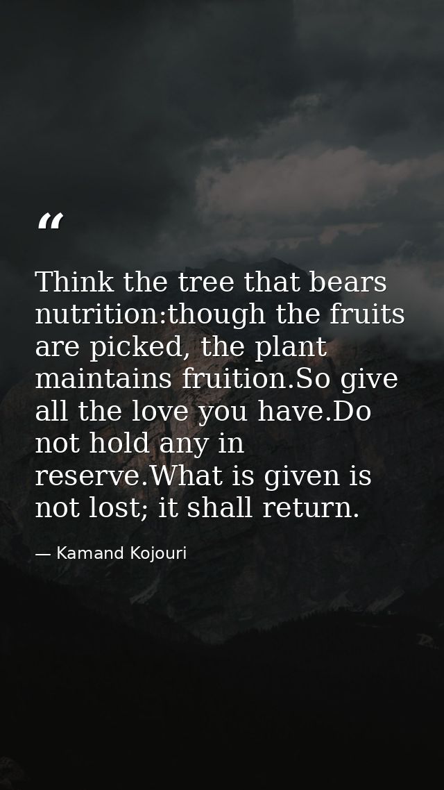Think the tree that bears nutrition:though the fruits are picked, the plant maintains fruition.So give all the love you  — Kamand Kojouri