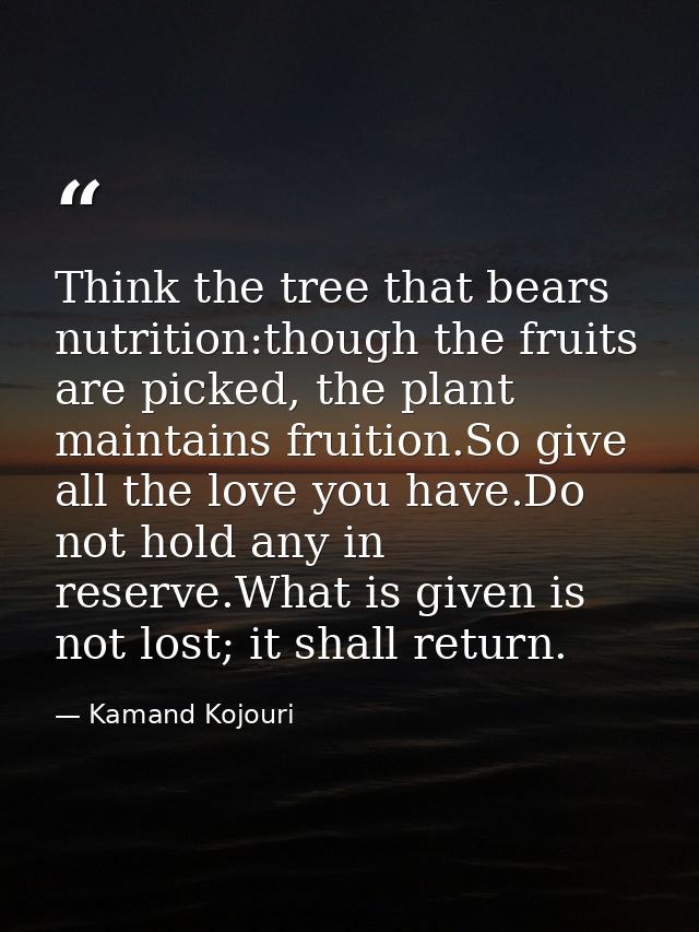 Think the tree that bears nutrition:though the fruits are picked, the plant maintains fruition.So give all the love you  — Kamand Kojouri
