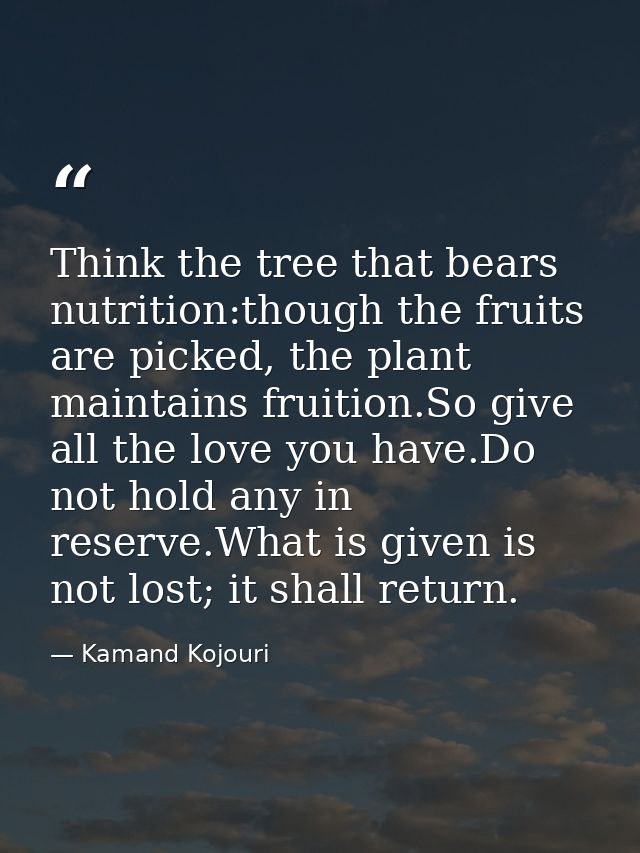 Think the tree that bears nutrition:though the fruits are picked, the plant maintains fruition.So give all the love you  — Kamand Kojouri