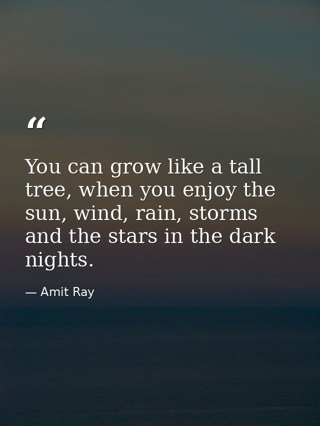 You can grow like a tall tree, when you enjoy the sun, wind, rain, storms and the stars in the dark nights. — Amit Ray