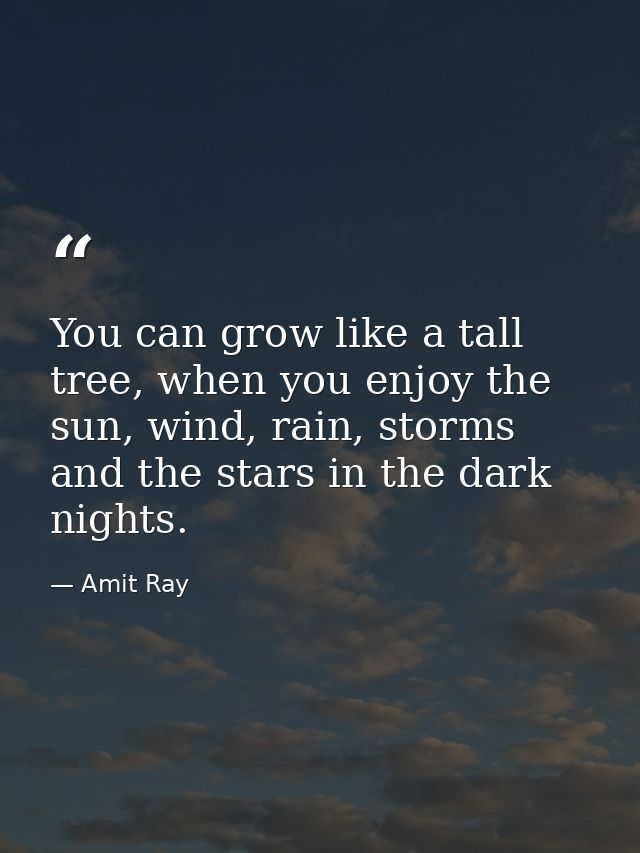 You can grow like a tall tree, when you enjoy the sun, wind, rain, storms and the stars in the dark nights. — Amit Ray