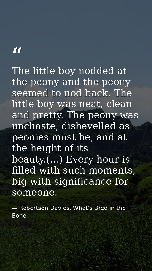 The little boy nodded at the peony and the peony seemed to nod back. The little boy was neat, clean and pretty. The peon — Robertson Davies, What's Bred in the Bone