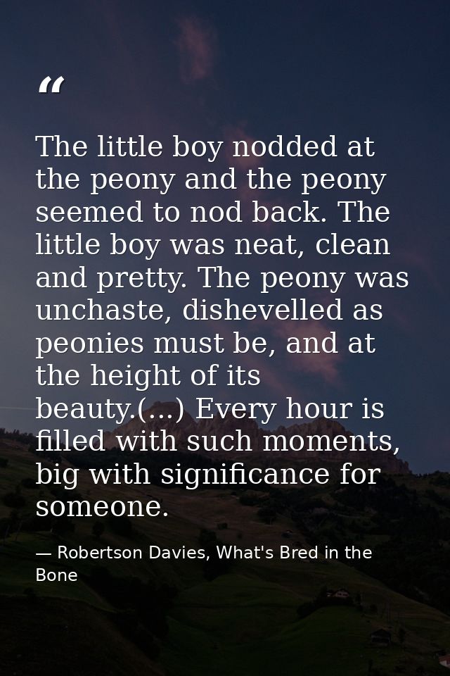 The little boy nodded at the peony and the peony seemed to nod back. The little boy was neat, clean and pretty. The peon — Robertson Davies, What's Bred in the Bone