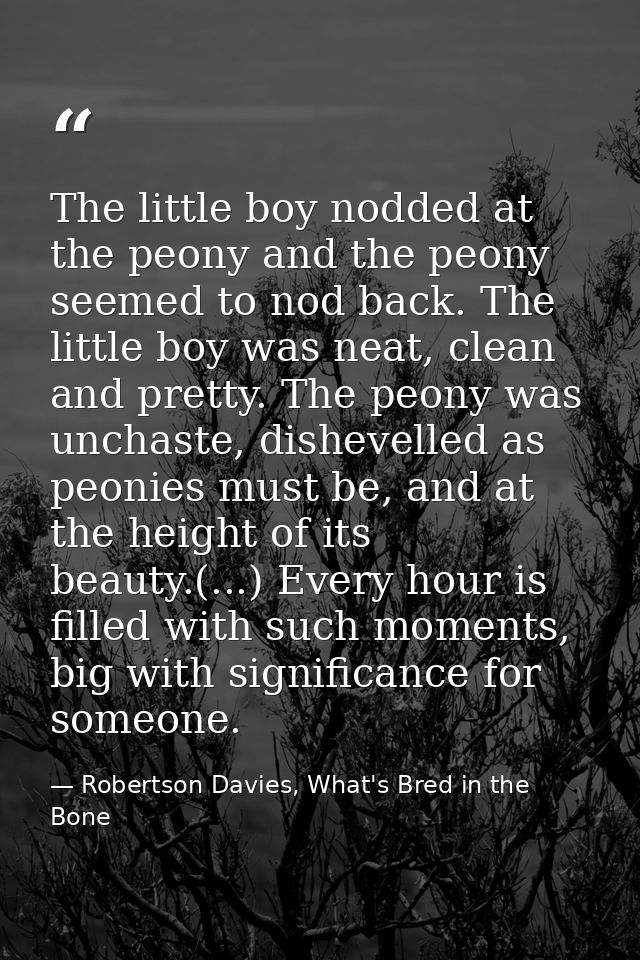 The little boy nodded at the peony and the peony seemed to nod back. The little boy was neat, clean and pretty. The peon — Robertson Davies, What's Bred in the Bone