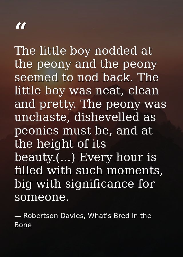 The little boy nodded at the peony and the peony seemed to nod back. The little boy was neat, clean and pretty. The peon — Robertson Davies, What's Bred in the Bone
