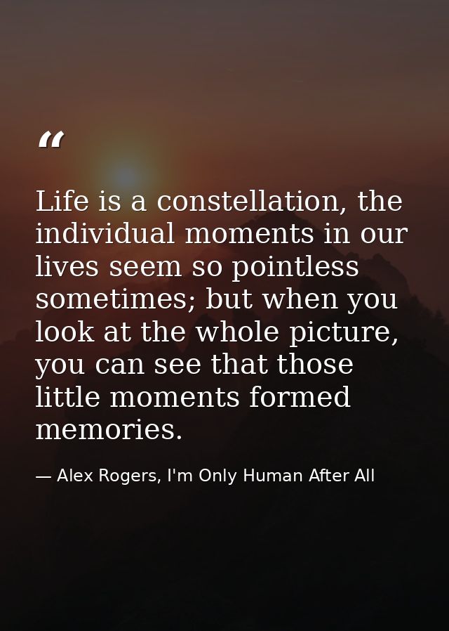Life is a constellation, the individual moments in our lives seem so pointless sometimes; but when you look at the whole — Alex Rogers, I'm Only Human After All