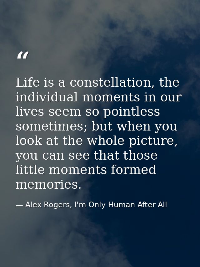 Life is a constellation, the individual moments in our lives seem so pointless sometimes; but when you look at the whole — Alex Rogers, I'm Only Human After All