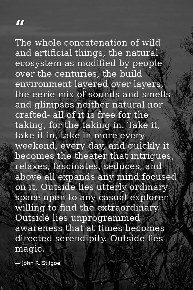 The whole concatenation of wild and artificial things, the natural ecosystem as modified by people over the centuries, t — John R. Stilgoe