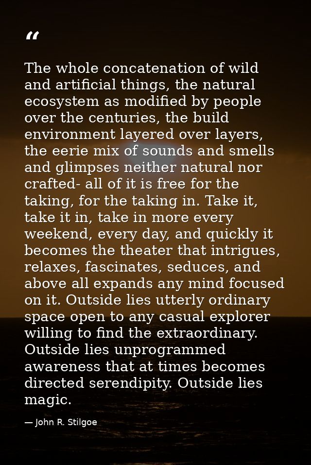 The whole concatenation of wild and artificial things, the natural ecosystem as modified by people over the centuries, t — John R. Stilgoe