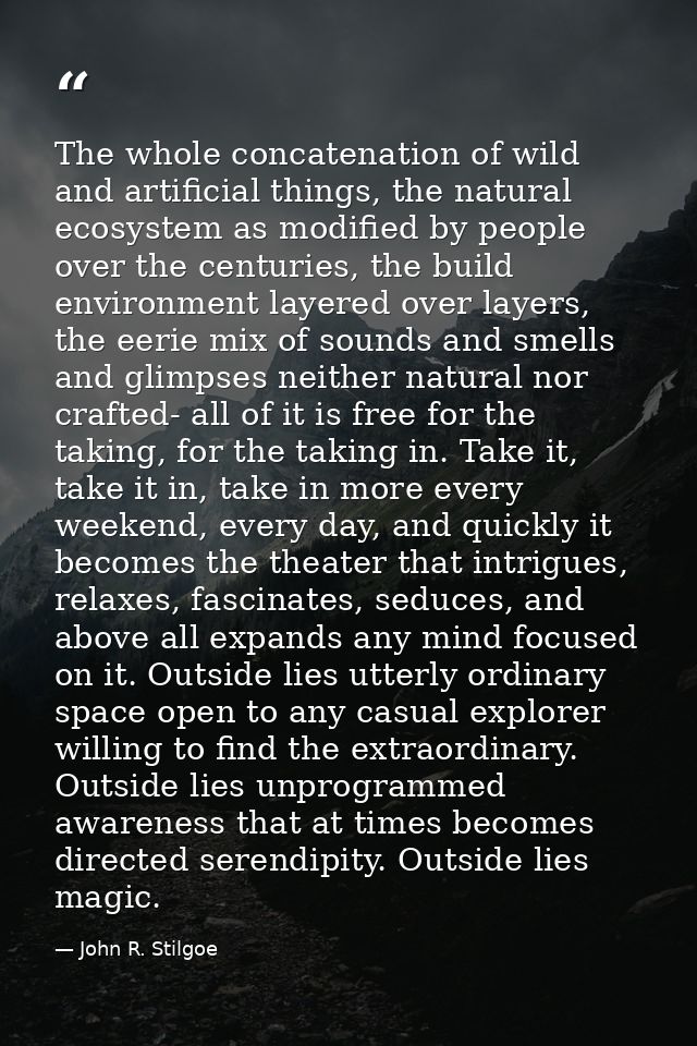 The whole concatenation of wild and artificial things, the natural ecosystem as modified by people over the centuries, t — John R. Stilgoe