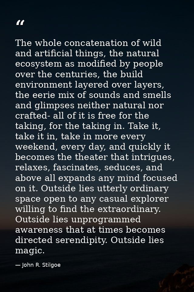The whole concatenation of wild and artificial things, the natural ecosystem as modified by people over the centuries, t — John R. Stilgoe