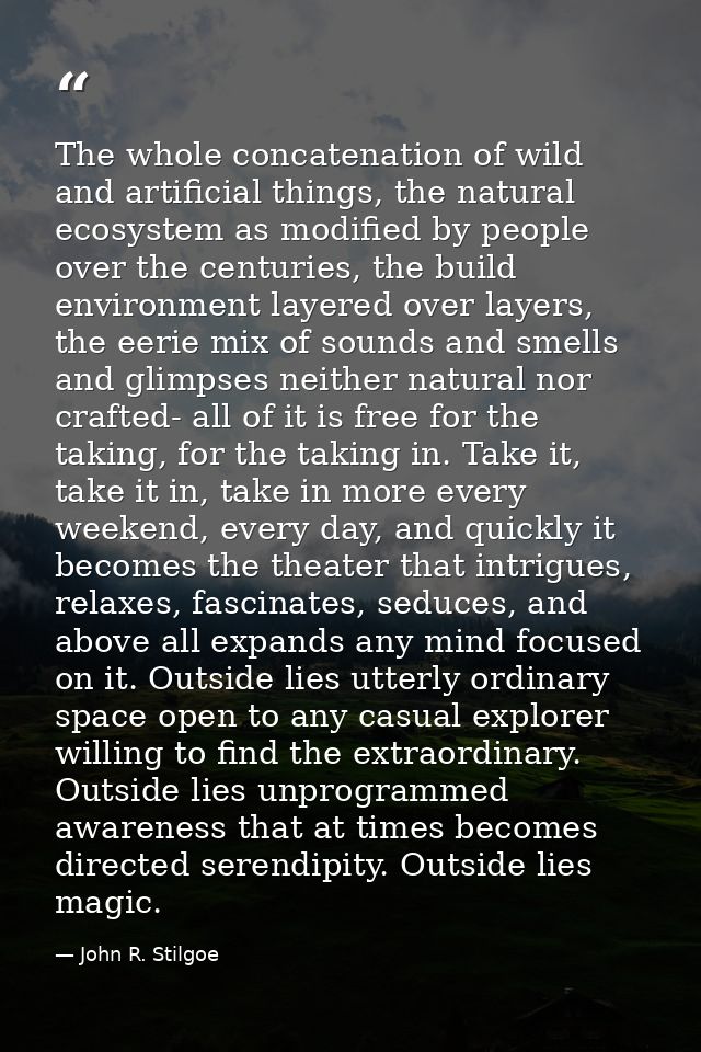 The whole concatenation of wild and artificial things, the natural ecosystem as modified by people over the centuries, t — John R. Stilgoe