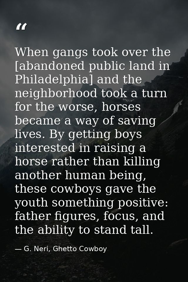 When gangs took over the [abandoned public land in Philadelphia] and the neighborhood took a turn for the worse, horses  — G. Neri, Ghetto Cowboy
