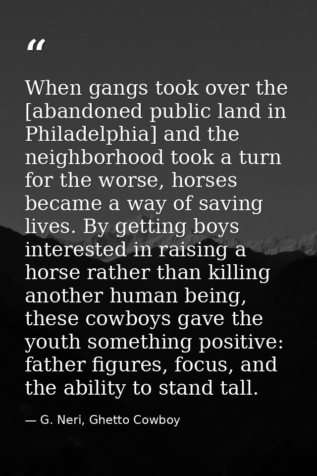 When gangs took over the [abandoned public land in Philadelphia] and the neighborhood took a turn for the worse, horses  — G. Neri, Ghetto Cowboy