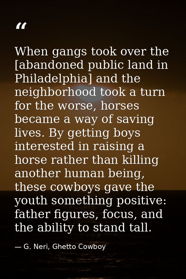 When gangs took over the [abandoned public land in Philadelphia] and the neighborhood took a turn for the worse, horses  — G. Neri, Ghetto Cowboy