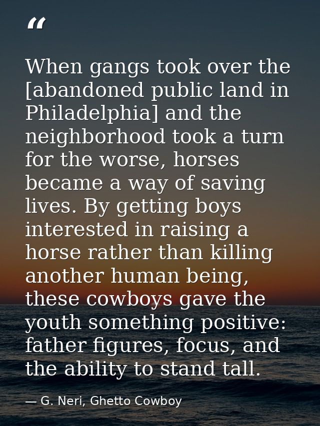 When gangs took over the [abandoned public land in Philadelphia] and the neighborhood took a turn for the worse, horses  — G. Neri, Ghetto Cowboy