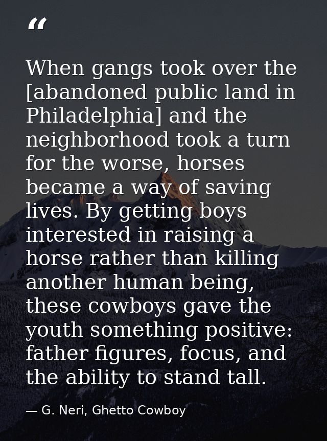 When gangs took over the [abandoned public land in Philadelphia] and the neighborhood took a turn for the worse, horses  — G. Neri, Ghetto Cowboy