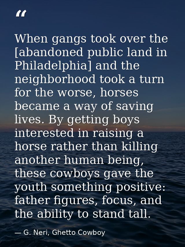 When gangs took over the [abandoned public land in Philadelphia] and the neighborhood took a turn for the worse, horses  — G. Neri, Ghetto Cowboy