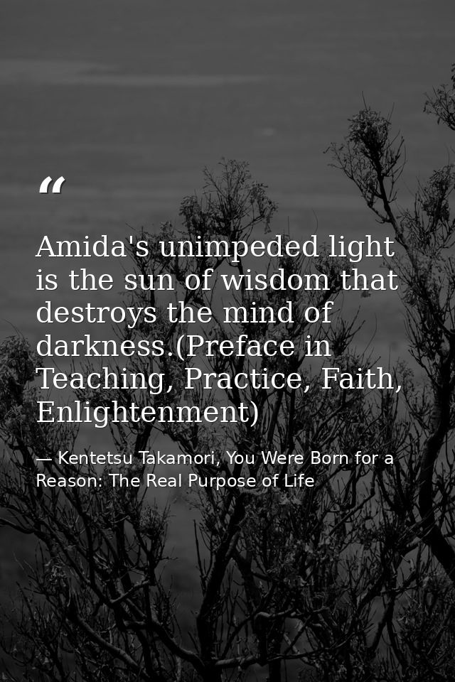 Amida's unimpeded light is the sun of wisdom that destroys the mind of darkness.(Preface in Teaching, Practice, Faith, E — Kentetsu Takamori, You Were Born for a Reason: The Real Purpose of Life