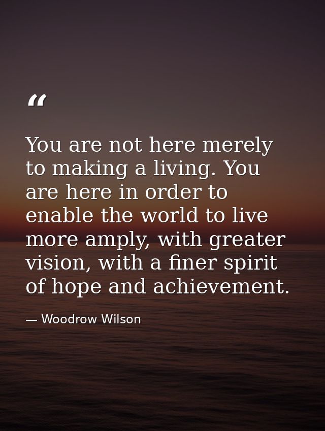 You are not here merely to making a living. You are here in order to enable the world to live more amply, with greater v — Woodrow Wilson
