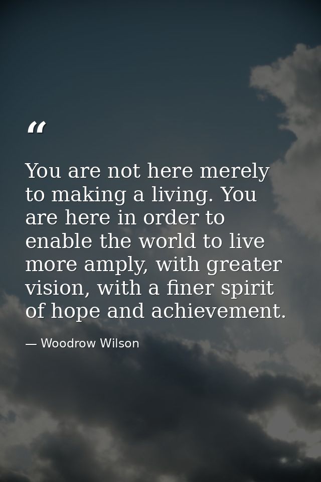 You are not here merely to making a living. You are here in order to enable the world to live more amply, with greater v — Woodrow Wilson